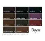 Bigen Poudre Colorante Noir Bleu # 88